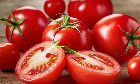 Pesquisadores israelenses desenvolvem tomates capazes de crescer em condições extremas de seca